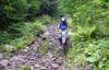 Tal�ljunk k�z�s utat a term�szetben �z�tt motorsporthoz!